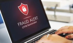 Professional online fraud case handling